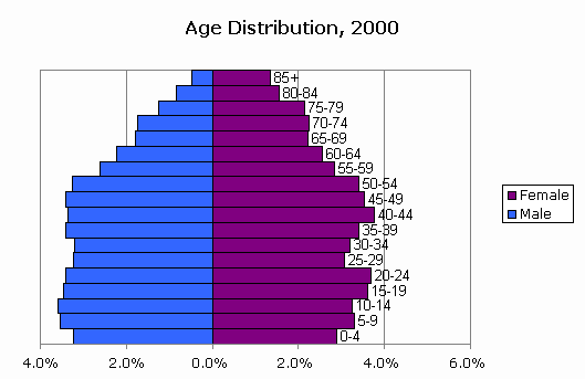 CensusScope -- Population Pyramid and Age Distribution Statistics