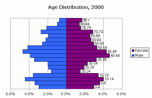 CensusScope -- Population Pyramid and Age Distribution Statistics