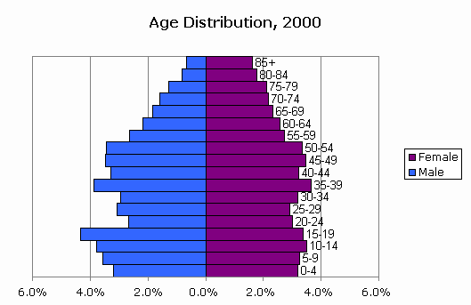 CensusScope -- Population Pyramid and Age Distribution Statistics